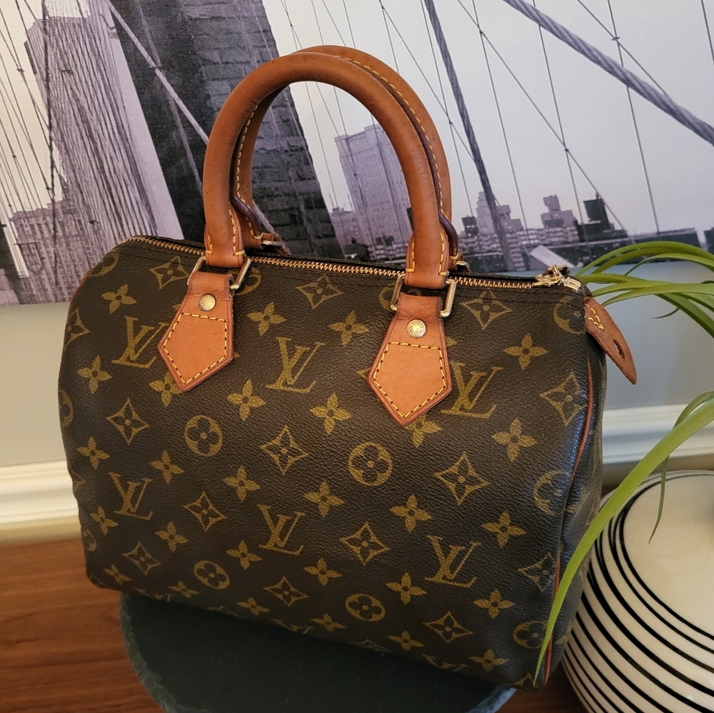 Louis Vuitton Monogram Speedy 25 Bag